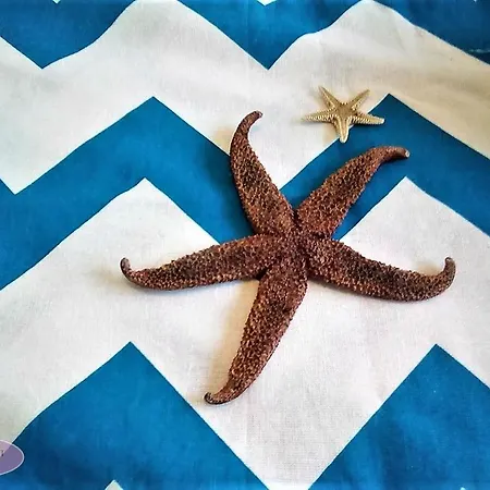 アパート Gospa *